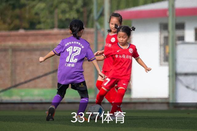 3377体育企业介绍展示图